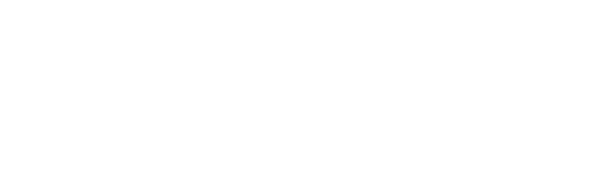 حول Logo 17